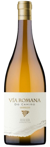 Vía Romana Godello do Camiño